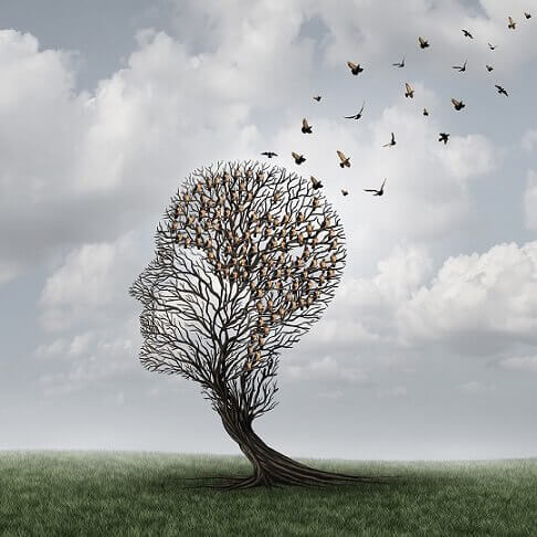 Ptaki ulatujące z głowy.