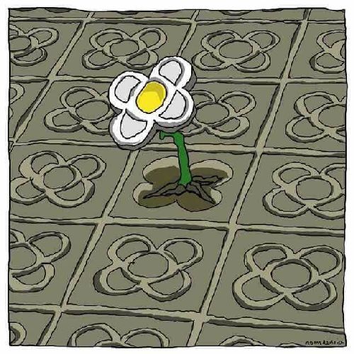 Kolorowy kwiat na betonie
