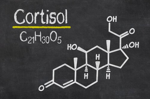 kortyzol