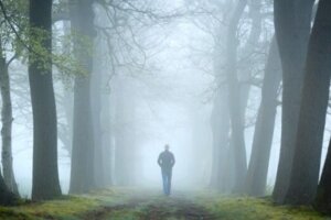 Test lasu i jego miejsce w psychoanalizie