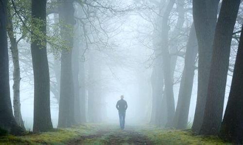 Test lasu i jego miejsce w psychoanalizie