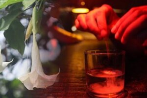 Skopolamina lub “Diabelski oddech” – lek, który odbiera Ci wolną wolę