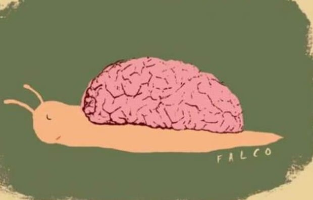 Ślimak z mózgiem na plecach.