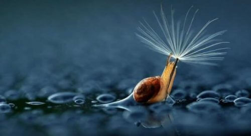 5 minut ciszy - co może zrobić dla Twojego mózgu?