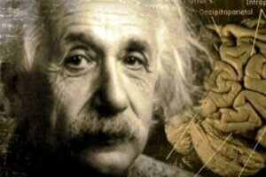 Albert Einstein i niesamowita historia jego mózgu