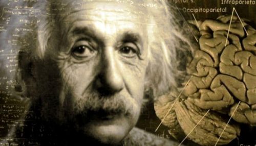 Albert Einstein i niesamowita historia jego mózgu