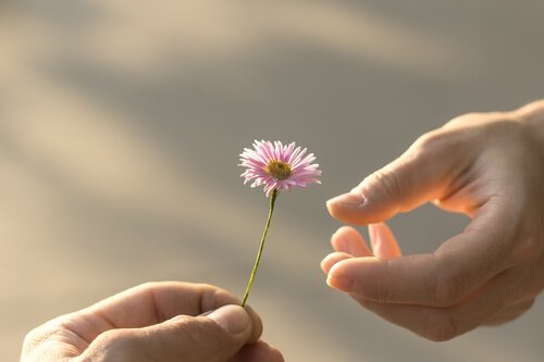 dłoń z kwiatem