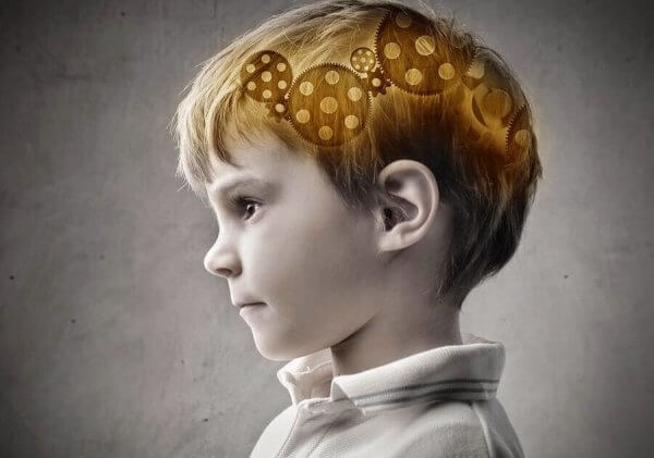 Mechanizm w mózgu dziecka - teorie dotyczące rozwoju człowieka