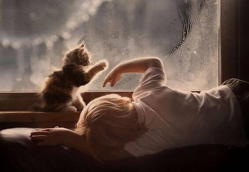 Dziecko bawi się z kotem ćwicząc umiejętności psychomotoryczne