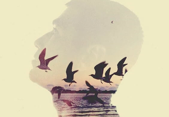 Mężczyzna i lecące ptaki.