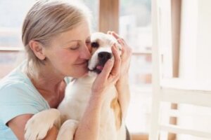 Terapia z udziałem zwierząt i korzyści z niej płynące