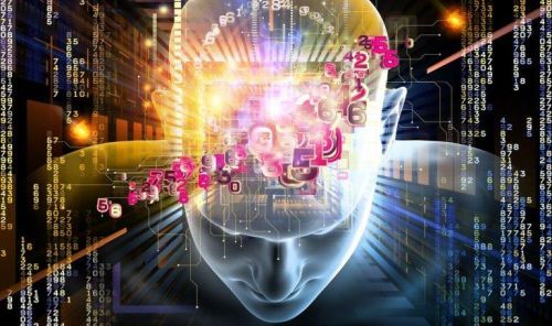Ludzki mózg - inteligencja