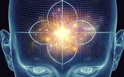 Przysadka mózgowa i szyszynka - funkcje i charakterystyka