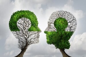 Związek pomiędzy filozofią a psychologią – na czym polega?