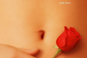 American Beauty – pozory mogą mylić