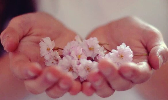 kwiaty w dłoniach