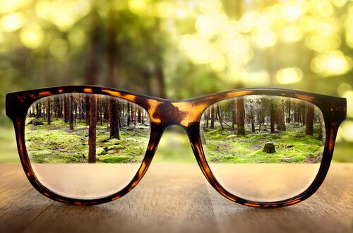 Okulary, przez które widać las.