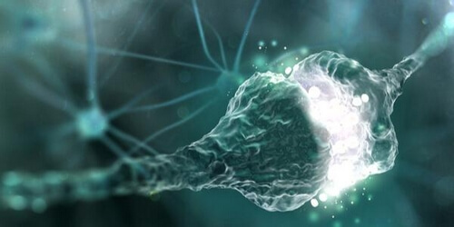 Szczelina synaptyczna - czy wiesz, czym jest?