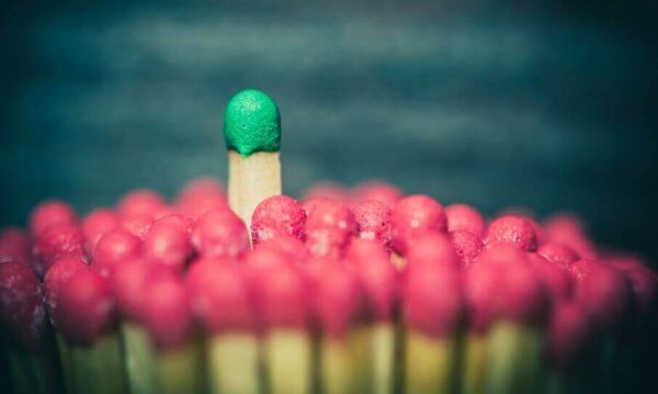 Zapałka wyższa niż inne - przywództwo