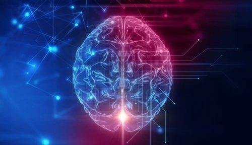 Kora okołooczodołowa a zachowania społeczne