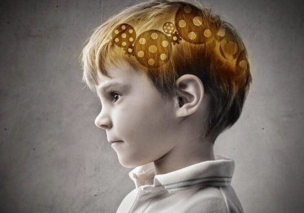 mózg chłopca - kora przedczołowa
