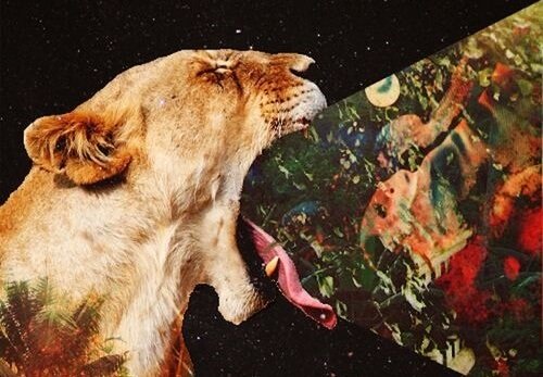 tygrys jedzący obraz