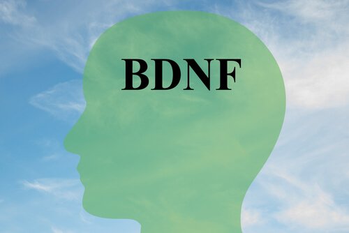 Jak zwiększyć BDNF, kluczowe białko dla zdrowego mózgu