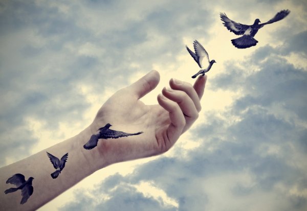 dłoń z ptakami
