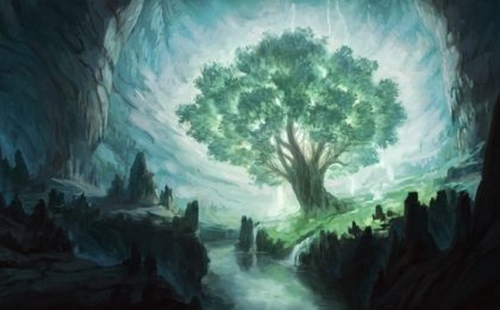 Drzewo życzeń - poznaj historię Osho