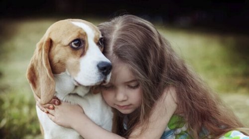 dziewczynka z psem - dlaczego kochamy zwierzęta