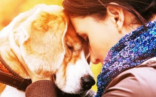 Zwierzęta - dlaczego tak bardzo je kochamy?