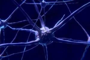 Neurony: co to jest i na czym polega ich działanie