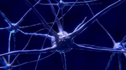 Neurony: co to jest i na czym polega ich działanie