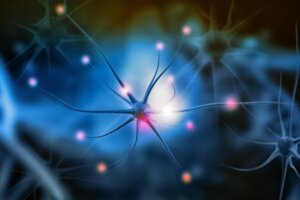 Neurogeneza: czym jest i dlaczego jest tak ważna?