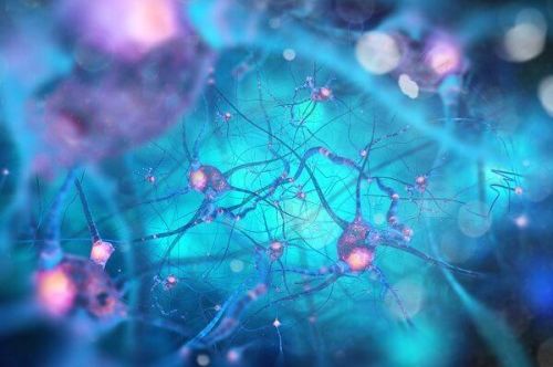 Neurony w mózgu