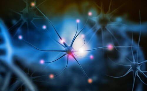 Neurogeneza: czym jest i dlaczego jest tak ważna?