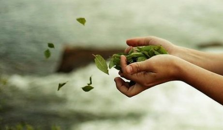 Ręka wyrzucająca liście.