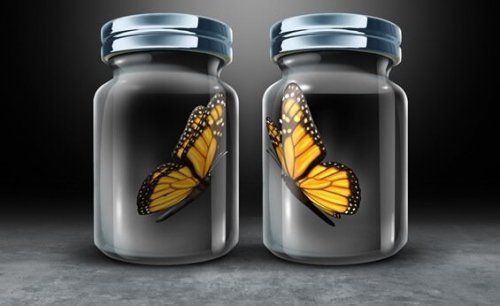 Asymetryczna wzajemność: przeszkoda w relacjach międzyludzkich