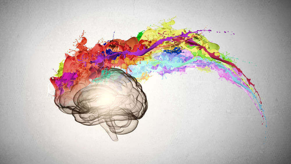 mózg z kolorami tęczy
