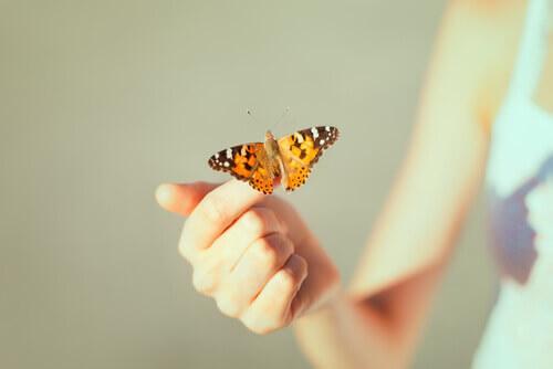 Kreatywna beznadzieja - Motyl na dłoni