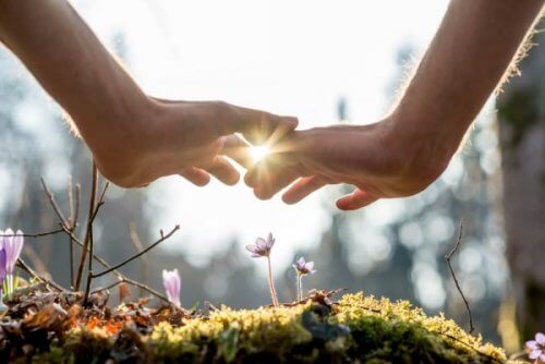 Potęga cierpliwości - Dwie dłonie nad kwiatkiem w lesie