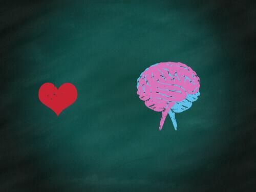 Mózg: część racjonalna i emocjonalna oraz ich współpraca