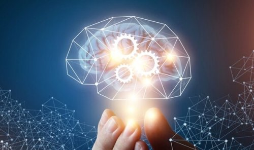 Teoria inteligencji makiawelicznej czyli hipoteza mózgu społecznego