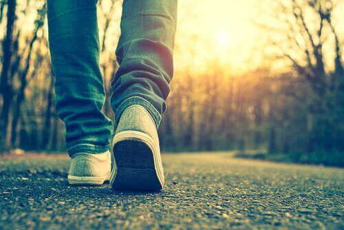 Nogi i ścieżka - to nowe możliwości