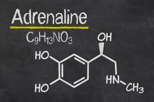 Adrenalina - reakcja na stres