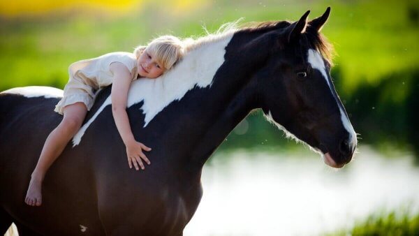 Dziewczynka na koniu - hipoterapia