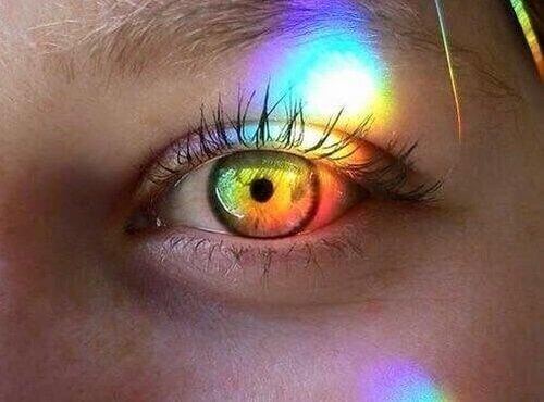 Kolorowe światło pada na oko