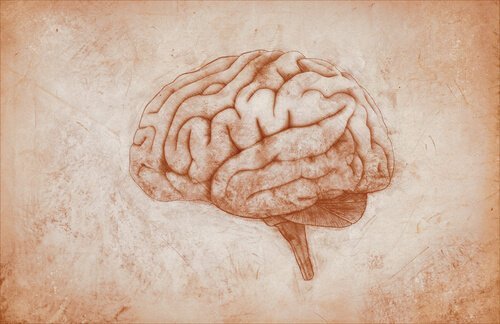 Mózg, a psychologia eksperymentalna