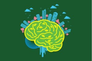 Neuroarchitektura – jak nasze otoczenie wpływa na mózg