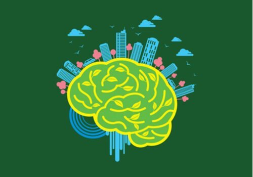 Neuroarchitektura – jak nasze otoczenie wpływa na mózg